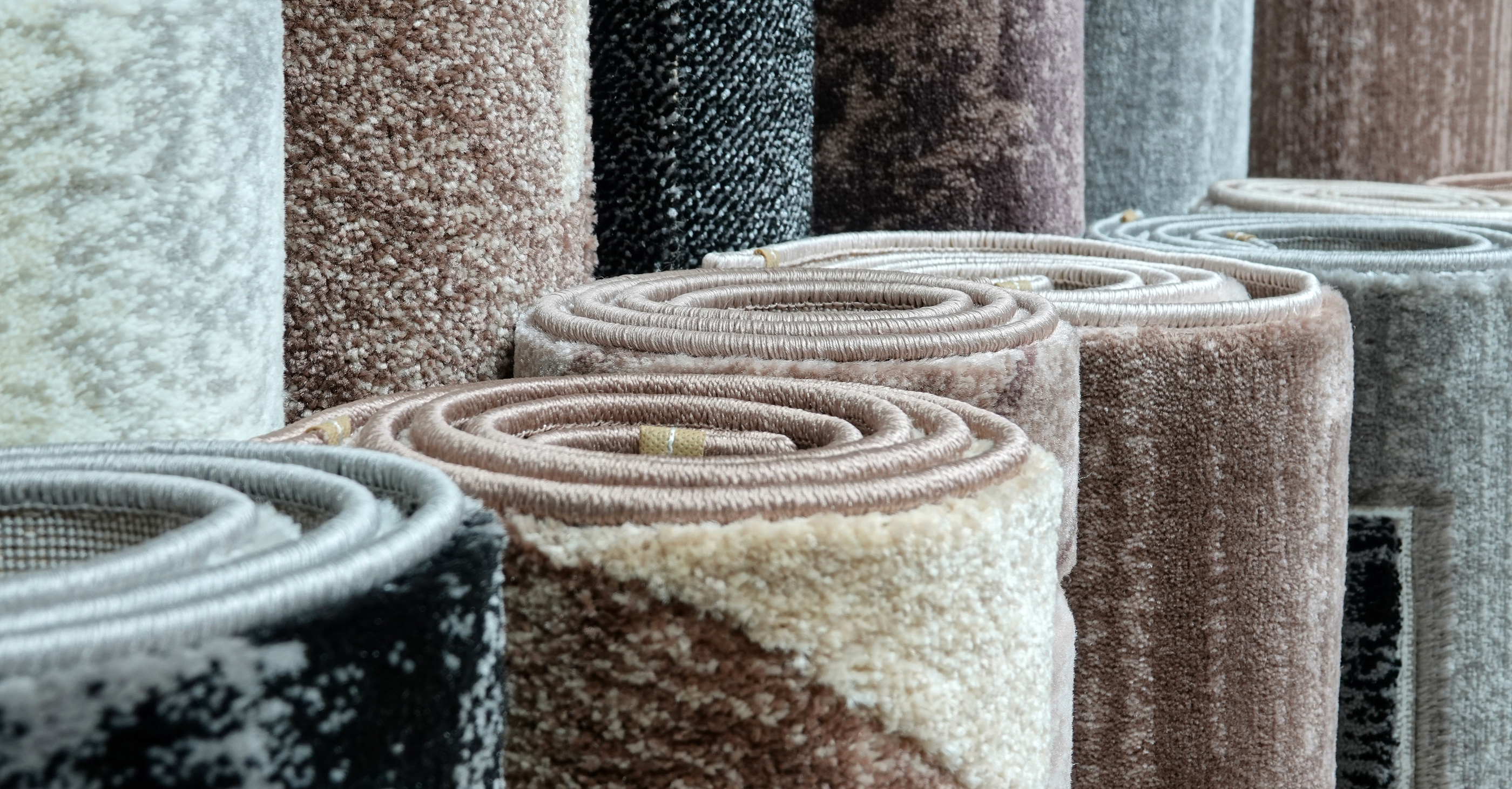 Carpets variety selection rolled up rugs shop store